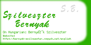 szilveszter bernyak business card